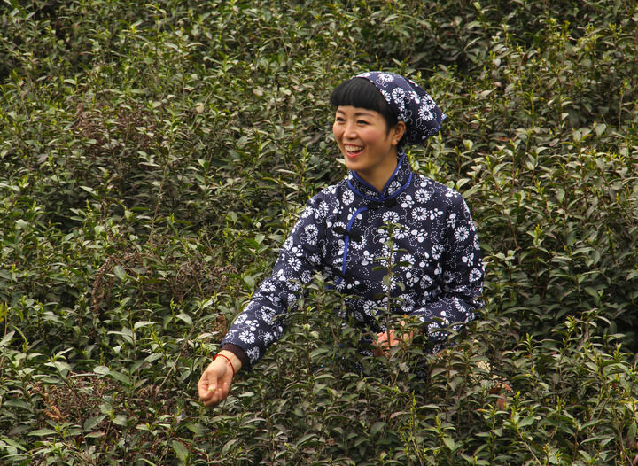 热门推荐9